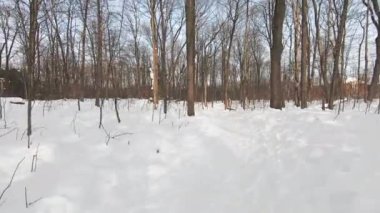 Ormanda karla kaplı bir yolda yürürken, şişman bisikletiyle yanından geçen biri...