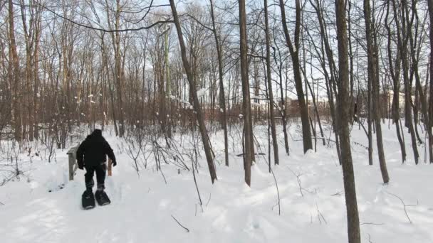 Człowiek Buta Śnieżnego Lesie Szlaku Pokrytym Śniegiem Przekraczając Mały Most — Wideo stockowe
