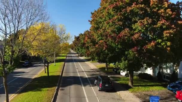 Drone Video Flyger Genom Träden Med Färgglada Blad Förort Gatan — Stockvideo