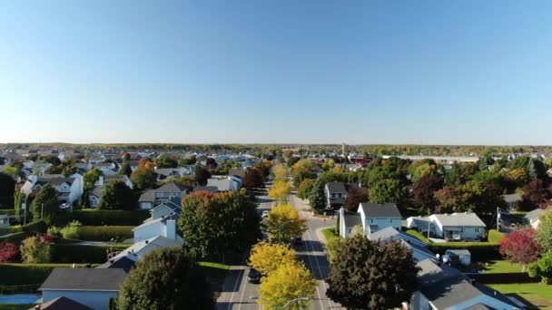 Dron Video Létání Nad Stromy Barevnými Listy Předměstí Ulice Eustache — Stock video