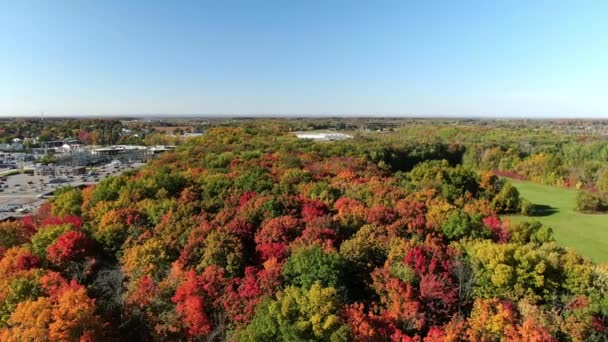 Drone Video Vliegen Het Natuurpark Eustache Onthullen Schoonheid Van Herfst — Stockvideo
