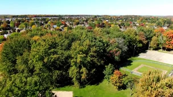 Drone Video Flyger Ovanför Träden Riviere Nord Offentliga Park Eustache — Stockvideo