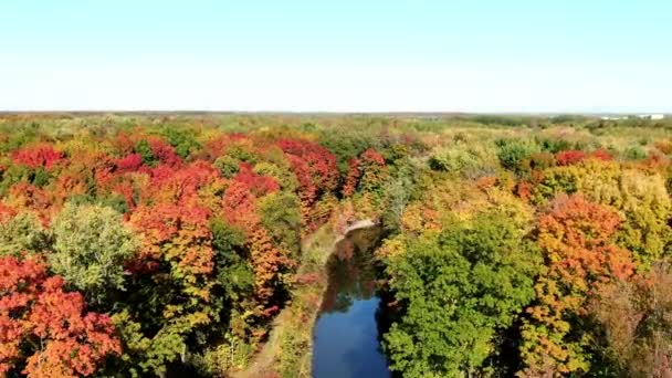 Drone Βίντεο Δημιουργώντας Ένα Dolly Zoom Αποτέλεσμα Ενός Μικρού Ποταμού — Αρχείο Βίντεο