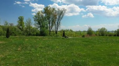 Gökyüzü ve beyaz bulutları gösteren, ülkenin ağaçlarının üzerinde ilerleyen ve yükselen bir hava videosu..