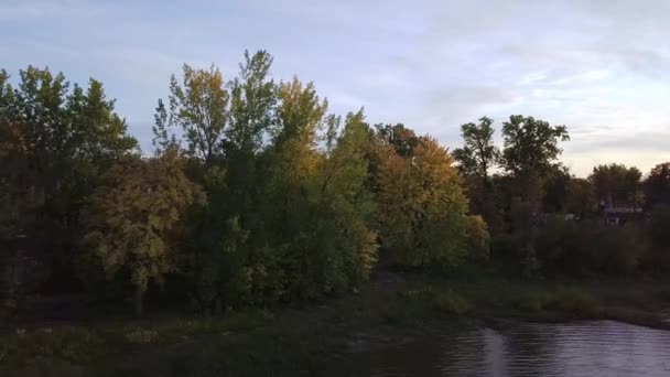 Gökyüzü Görünümü Yana Doğru Dönüyor Ağaçların Renkleri Sonbaharın Renklerini Gösteriyor — Stok video