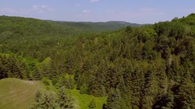 Ağaçların arasından yavaşça uçarak manzarayı ve ormanın içinden geçen nehri açığa çıkarıyor.