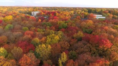 Sonbaharda sağdan sola renkli ağaçların üzerinden uçmak ve arka planda Montreal şehrini göstermek.