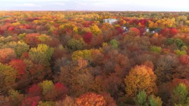 Sağdan sola doğru yavaşça uçuyor ağaçlardaki sonbahar renginde ağaçlardaki elektrik hatlarına yaklaşıyor.