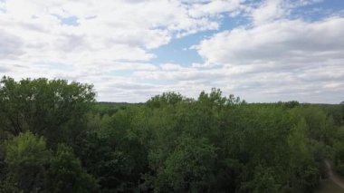 İnsansız hava aracı çekimleri yazın yaprak döken ağaçların üzerinde yükseliyor.