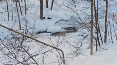 Küçük, buzlu bir derede akan küçük bir pınarın el kamerası görüntüsü.