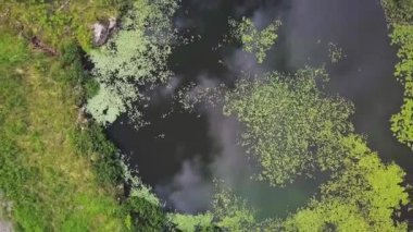 İnsansız hava aracı, suyun üstünde dönen bir gölete bakıyor.
