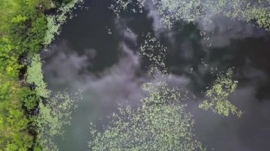 İnsansız hava aracı, doğruca gölete bakıyor sudan uzağa uçuyor.