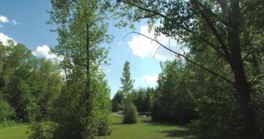 Yazın, halka açık bir parkta ağaçlar arasında alçak açıyla hareket eden bir drone atışı.