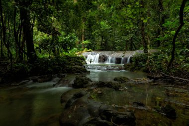 Phangnga, Tayland 'daki Sa Nang Manora orman parkında güzel bir şelale..