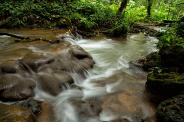 Phangnga, Tayland 'daki Sa Nang Manora orman parkında güzel bir şelale..