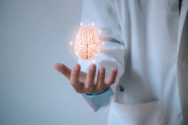 Docteur Montrant Modèle Cerveau Humain Concept Technologie Médicale — Photo