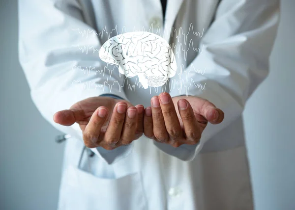 Docteur Tenant Modèle Cérébral Dans Ses Mains Illustration Des Ondes — Photo