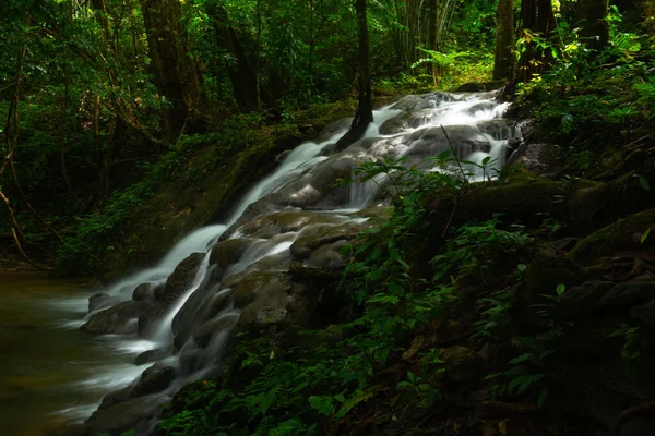 Phangnga, Tayland 'daki Sa Nang Manora orman parkında güzel bir şelale..