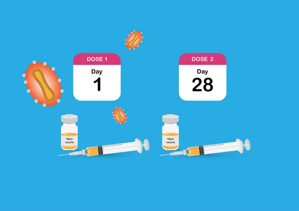 stock vector Mpox vaccination schedule with two doses illustratio