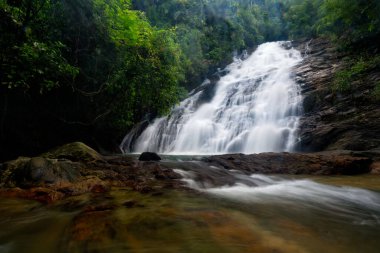 A captivating scene of the Ton Prai Waterfall cascading through a verdant forest in Phang Nga, Thailand.  clipart