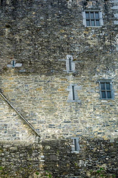 Détail Château Ross Irlande — Photo
