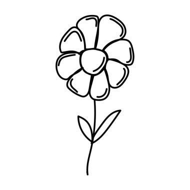 Bahçedeki çayır çiçeği.