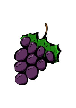 Üzüm üzümünün çizimi