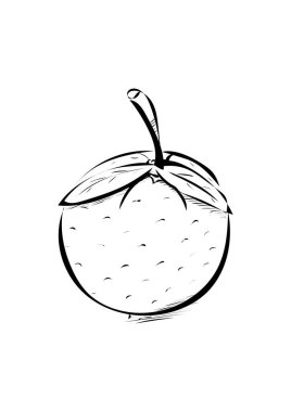 Beyaz arka planda elma çizimi. vektör illüstrasyonu