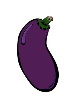 patlıcan sebzesi taze organik sağlıklı besin vektörü çizimi