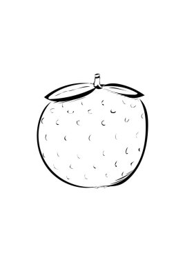 Beyaz arkaplanda vektör, karikatür, karalama meyve çizimi