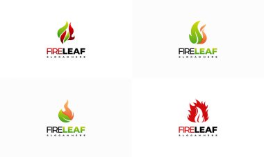 Ateş Yaprağı logosu dizayn konsept vektörü, Eko Yeşil Alternatif Enerji Logo tasarım vektörü şablonu
