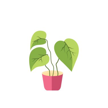 Decorative house plants with pot isolated. interior plant vector, flat icon design Cartoon potted green plants flowers