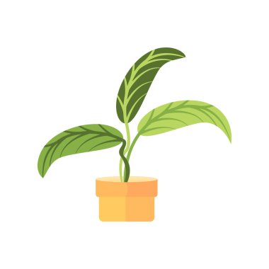 Decorative house plants with pot isolated. interior plant vector, flat icon design Cartoon potted green plants flowers