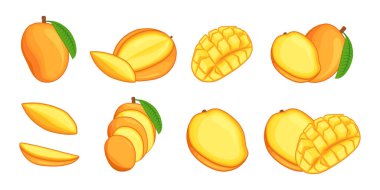 Mango set vector illustration. Cartoon isolated exotic organic fresh fruit cut in half pieces and slices for healthy vitamin vegetarian menu. Ripe sweet tropical mango with leaf