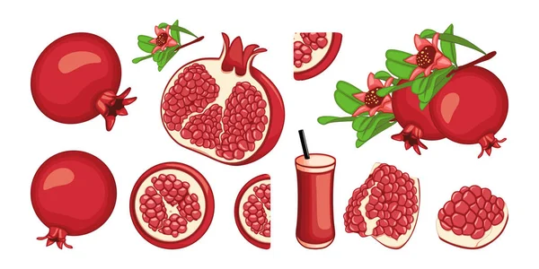 Granaatappel Set Vector Illustratie Cartoon Geïsoleerde Zomer Granaatappel Fruit Met — Stockvector