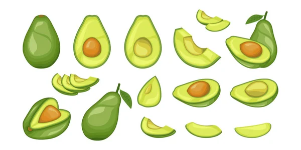 Set Von Avocadofruchtvektorillustrationen Cartoon Stil Gesunde Ernährung Biolebensmittel Vegetarische Produkte — Stockvektor