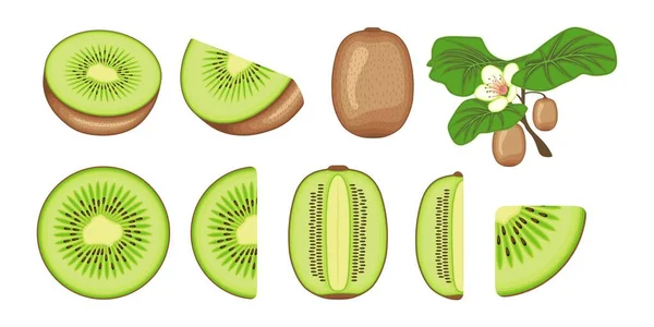 漫画風のキウイフルーツベクトルイラストのセット 健康的な栄養 有機食品 ベジタリアン製品 — ストックベクタ