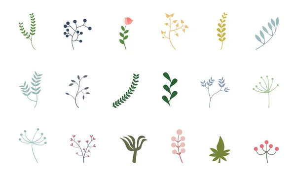 Botanik Sanatı Elle Çizilmiş Soyut Çiçek Çiçek Gül Tropik Yapraklar — Stok Vektör