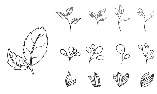 식물학적 손으로 추상적 잎사귀 올리브 꽃다발 그려져 있었다 일러스트 — 스톡 벡터