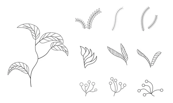 Arti Botaniche Disegno Linee Continue Disegnate Mano Fiori Astratti Fiori — Vettoriale Stock