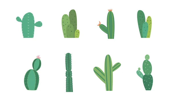 Set Von Cartoon Bunten Kakteen Und Sukkulenten Dekorative Blumen Und — Stockvektor