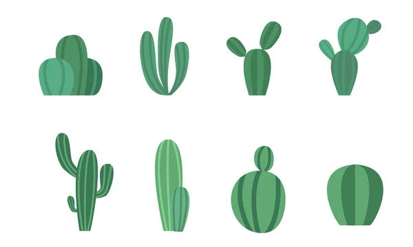 Uppsättning Tecknad Färgglada Kaktus Och Suckulenter Dekorativa Blommor Och Växter — Stock vektor