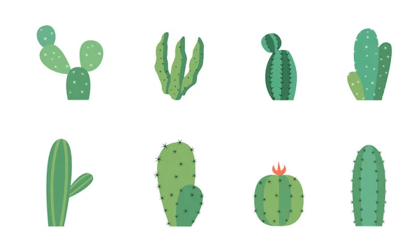 Set Cartoni Animati Cactus Colorati Succulente Fiori Decorativi Piante Illustrazione — Vettoriale Stock