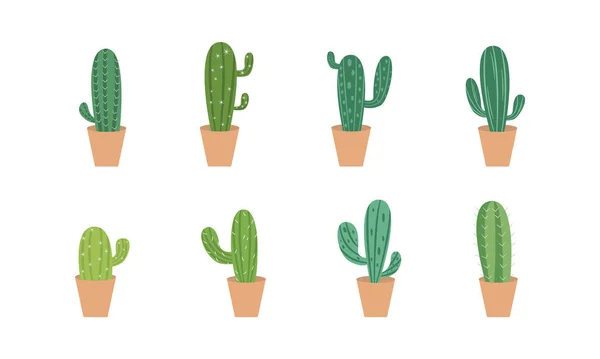 Conjunto Cactus Dibujos Animados Colores Suculentas Flores Plantas Decorativas Ilustración — Archivo Imágenes Vectoriales