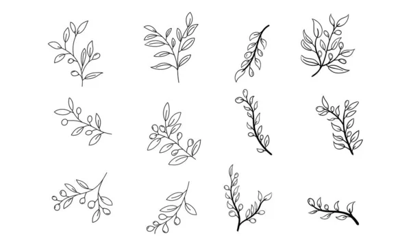 Ensemble Feuilles Branches Aperçu Olive Branch Trendy Minimalist Style Illustration — Image vectorielle