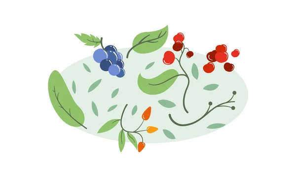白の上に隔離された葉ベクトルフラットスタイルのイラストと野生の果実新鮮で熟したおいしい健康食品 おいしい植生食事 自然の贈り物 — ストックベクタ