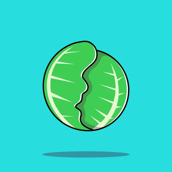 Flat Cartoon Style Zelí Vegetable Vector Icon Ilustrace Food Nature — Stockový vektor