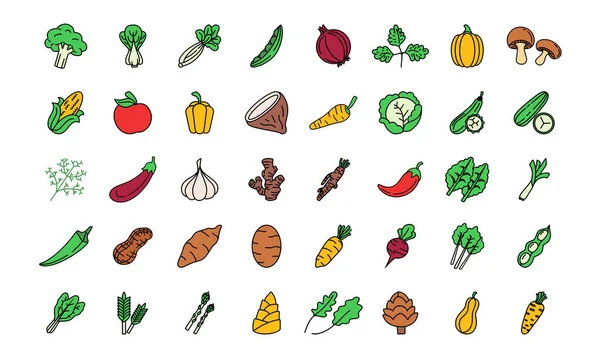 Gemüse Symbol Set Modernes Web Symbol Set Umrisse Icons Sammlung — Stockvektor