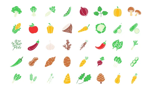 Gemüse Symbol Set Modernes Web Symbol Set Umrisse Icons Sammlung — Stockvektor