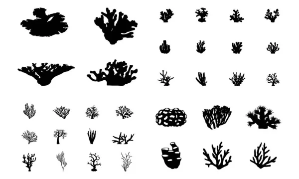 Conjunto Varias Siluetas Coral Sobre Fondo Blanco — Archivo Imágenes Vectoriales